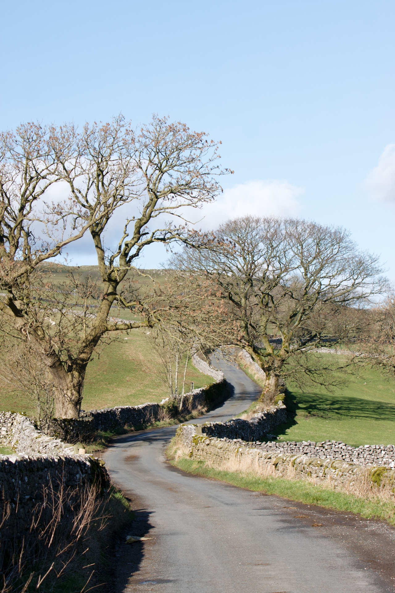 Scenic countryside road